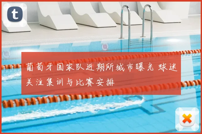 葡萄牙国家队近期所城市曝光 球迷关注集训与比赛安排