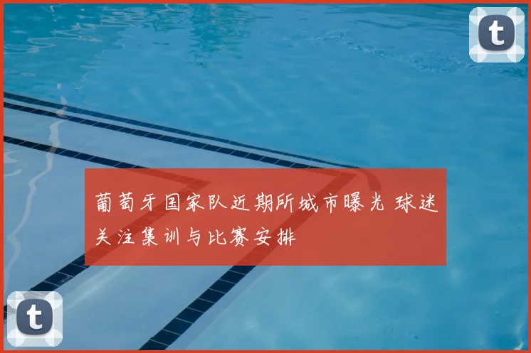 葡萄牙国家队近期所城市曝光 球迷关注集训与比赛安排