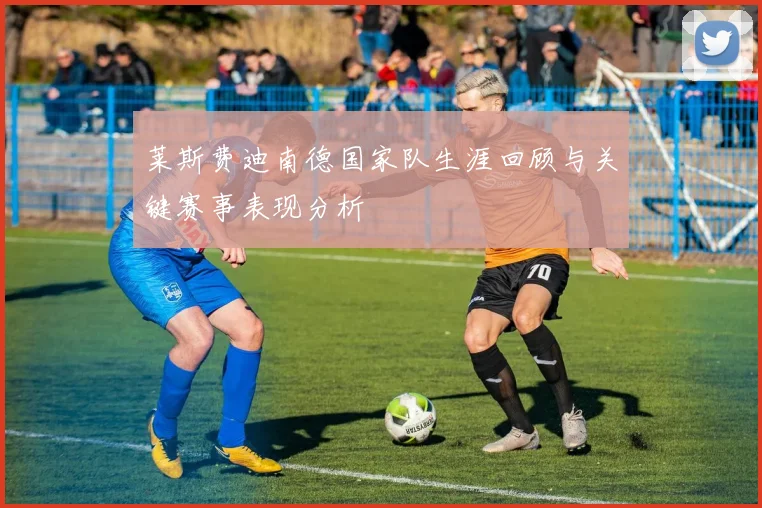 莱斯费迪南德国家队生涯回顾与关键赛事表现分析