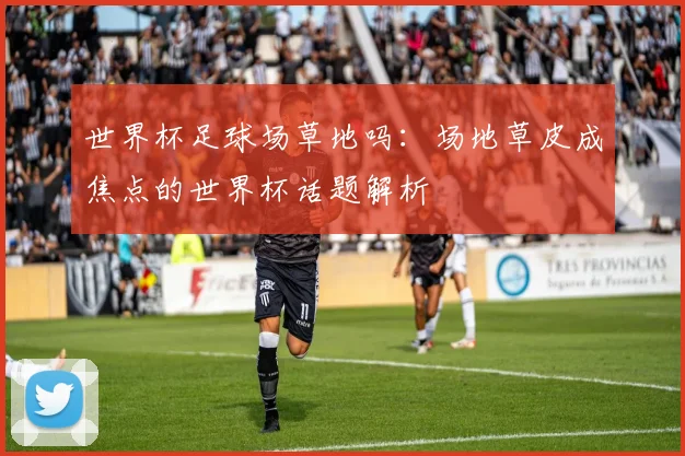 世界杯足球场草地吗：场地草皮成焦点的世界杯话题解析