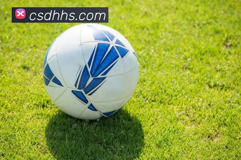 mksports官网登录APP 封面图